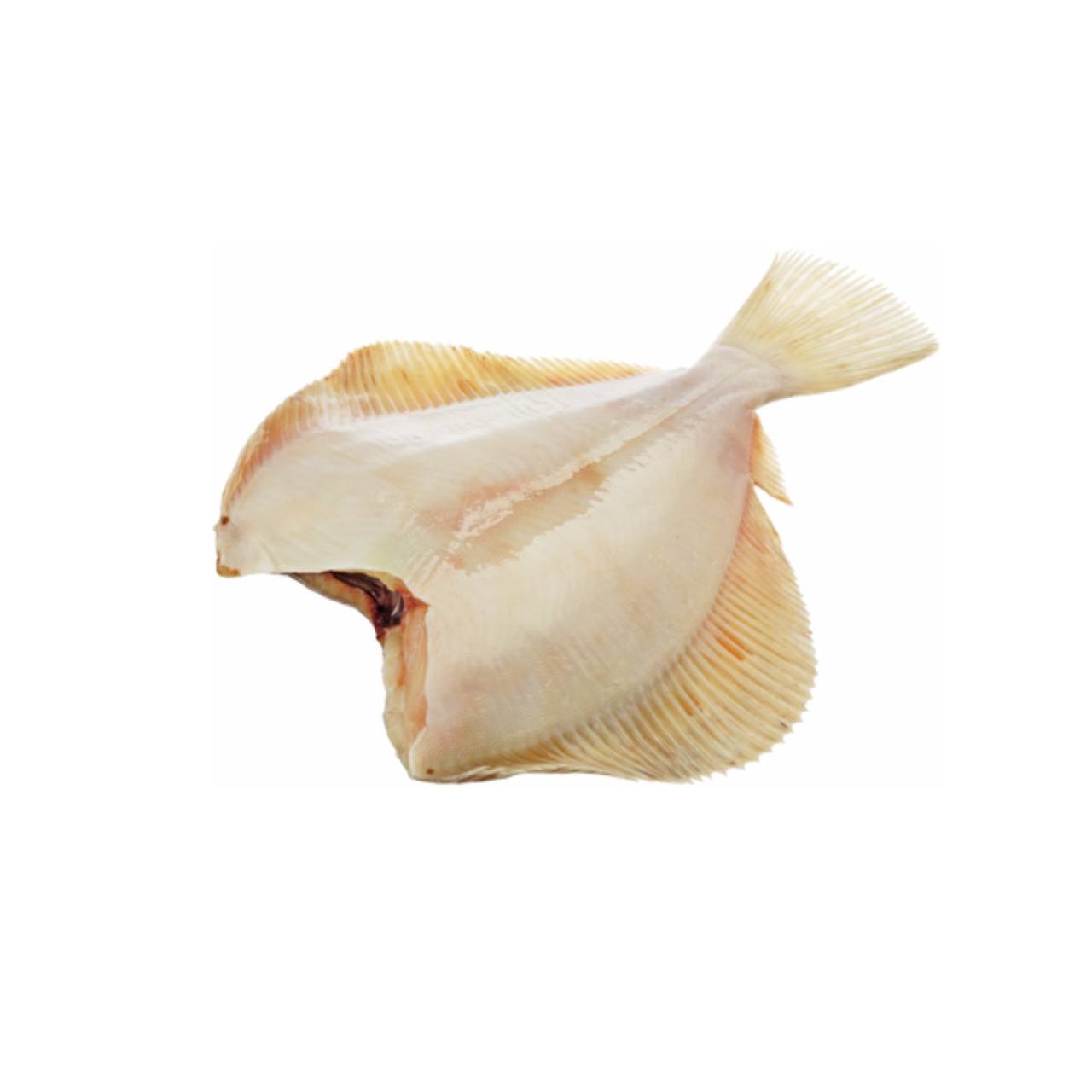 Камбала свежемороженая, без головы ~ 1-2 кг в шт