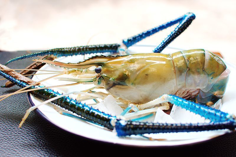 Креветка Скампи   уп 1кг, 4шт