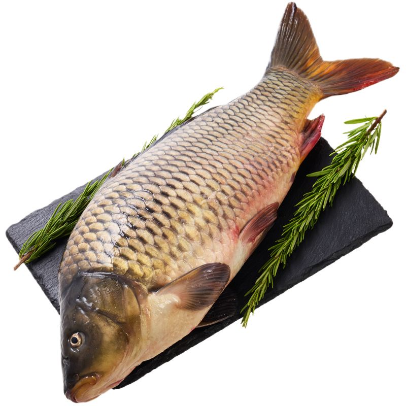 Карп охлажденный, тушка непотрошеная ~ 1.5-3.5 кг в шт