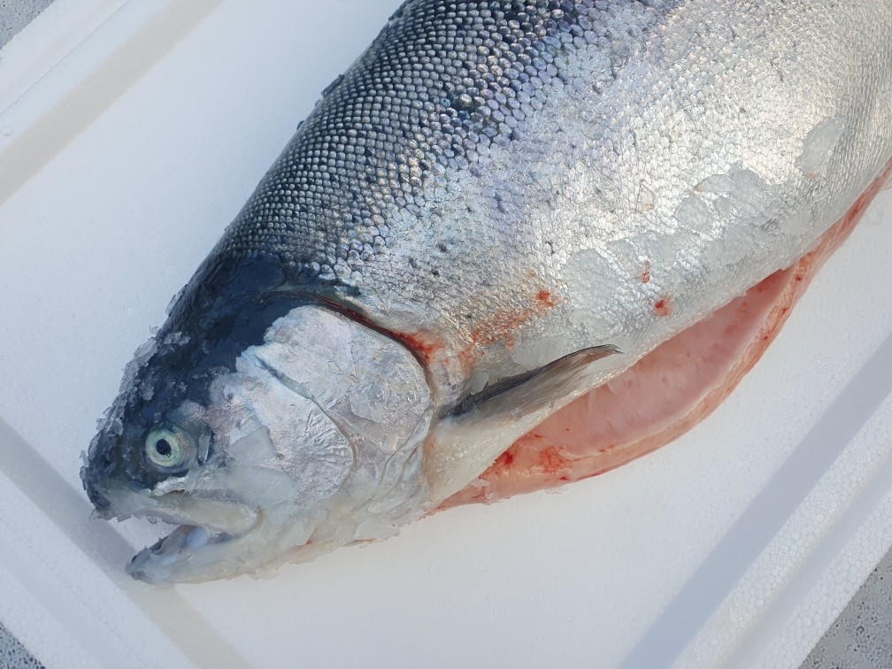 Филе форели охлажденное Мурманск ~ 1 кг